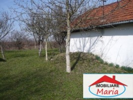 casa-de-vanzare-in-satu-mare-ardud-5
