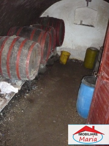 casa-de-vanzare-in-satu-mare-ardud-7
