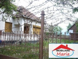 casa-de-vanzare-in-satu-mare-micula