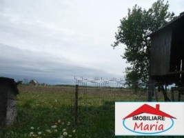 casa-de-vanzare-in-satu-mare-micula-8