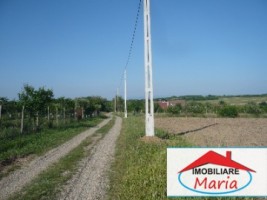 teren-pentru-constructii-de-vanzare-in-satu-mare-viile-satu-mare-6