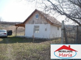 casa-de-vanzare-in-satu-mare-viile-satu-mare