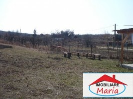 casa-de-vanzare-in-satu-mare-viile-satu-mare-3