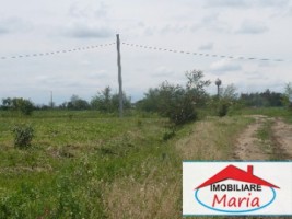 teren-pentru-constructii-de-vanzare-in-satu-mare-1