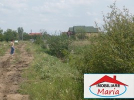 teren-pentru-constructii-de-vanzare-in-satu-mare-2