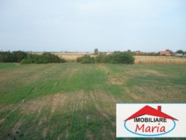 casa-de-vanzare-in-satu-mare-decebal-2