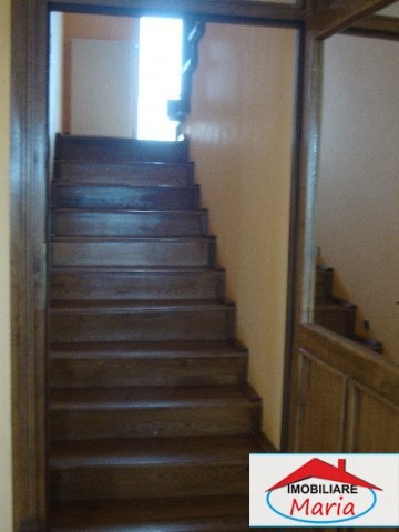 casa-de-vanzare-in-satu-mare-viile-satu-mare-2