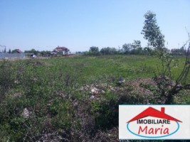 teren-pentru-constructii-de-vanzare-in-satu-mare-4