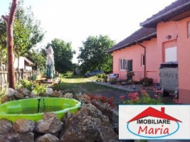 casa-de-vanzare-in-satu-mare-pomi-1
