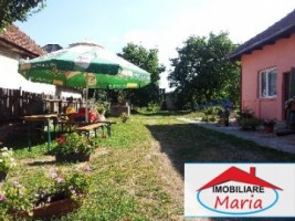 casa-de-vanzare-in-satu-mare-pomi-4