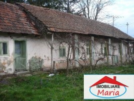 casa-de-vanzare-in-satu-mare-dorolt