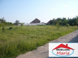 teren-pentru-constructii-de-vanzare-in-satu-mare-1