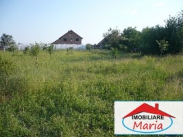 teren-pentru-constructii-de-vanzare-in-satu-mare-4