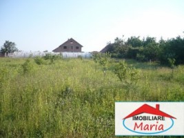 teren-pentru-constructii-de-vanzare-in-satu-mare-5