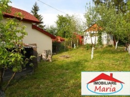 casa-de-vanzare-in-satu-mare-viile-satu-mare