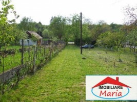 casa-de-vanzare-in-satu-mare-viile-satu-mare-2