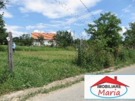 teren-pentru-constructii-de-vanzare-in-satu-mare-viile-satu-mare-5