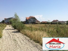 teren-pentru-constructii-de-vanzare-in-satu-mare-amati-2