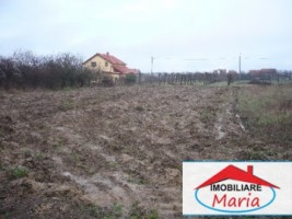 teren-pentru-constructii-de-vanzare-in-satu-mare-vetis