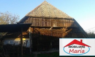 casa-de-vanzare-in-satu-mare-pomi-4