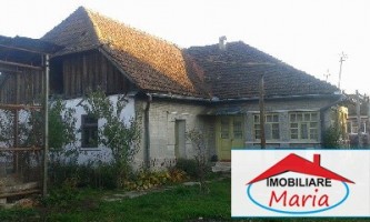 casa-de-vanzare-in-satu-mare-pomi-5