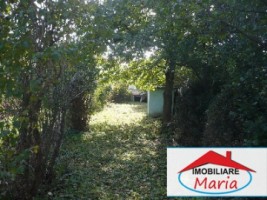 casa-de-vanzare-in-satu-mare-viile-satu-mare