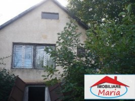 casa-de-vanzare-in-satu-mare-viile-satu-mare-2
