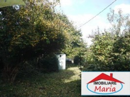 casa-de-vanzare-in-satu-mare-viile-satu-mare-3