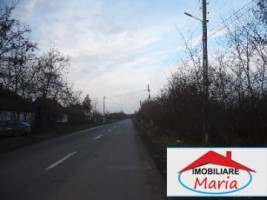 teren-pentru-constructii-de-vanzare-in-satu-mare-vetis-5