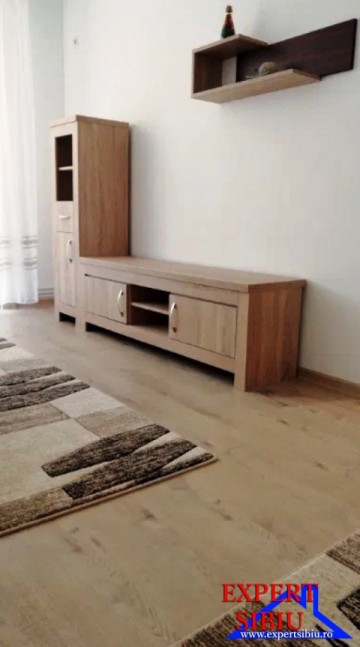 casa-de-vanzare-in-satu-mare-ardud-4