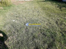 teren-intravilan-de-vanzare-960-mp-cetate