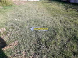 teren-intravilan-de-vanzare-960-mp-cetate-2