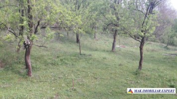 vila-8-camere-teren-2000-mp-bradulet-4