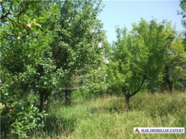 teren-1427-mp-intravilan-valea-mare-pravat-bilcesti-1