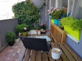 3-camere-13-septembrie-3