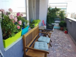 3-camere-13-septembrie-11