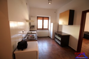 inchiriez-apartament-2-camere-la-casarenovat-zona-parc-sub-arini-8