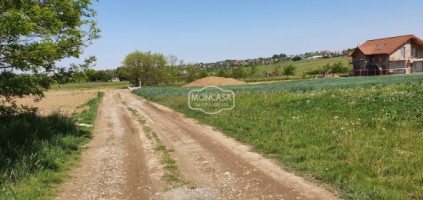 teren-zona-tulbureni-alfa-land-s-5348-mp-2