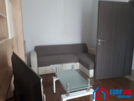 apartament-cu-2-camere-de-inchiriat-zona-turnisor-3