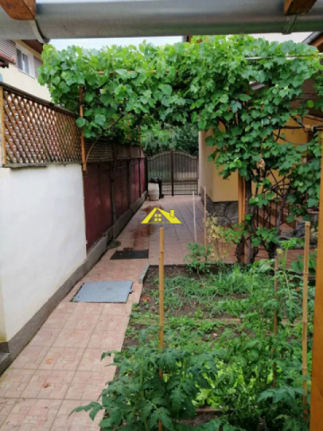 casa-cetate-2