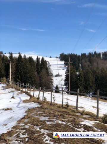 teren-intravilan-1037-mp-in-dambovicioara-arges-1