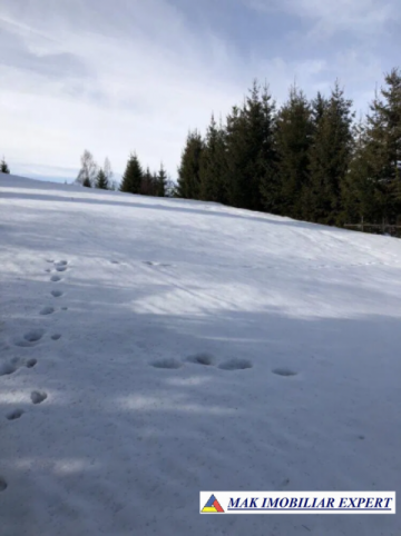 teren-intravilan-1037-mp-in-dambovicioara-arges-4