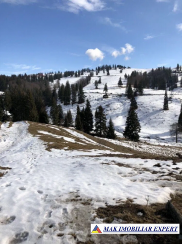 teren-intravilan-1037-mp-in-dambovicioara-arges-5