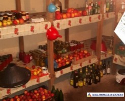 vila-cu-5-camere-si-teren-de-1000-mp-de-vanzare-in-baiculesti-arges-ideala-pentru-locuinta-familiala-3