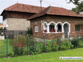 casa-3-camere-anexe-teren-2500-mp-hartiesti