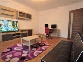 3-camere-13-septembrie-13