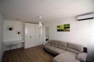 2-camere-ion-mihalache-chibrit-1