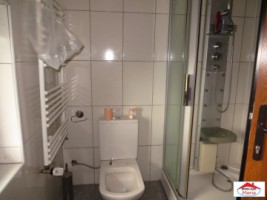 casa-cu-teren-11-ari-semicentral-bercu-rosu-id-21792-6