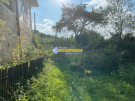 casa-cabana-de-vanzare-p1-cu-1682-mp-de-teren-zona-presaca-ampoiului-8