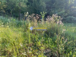 casa-cabana-de-vanzare-p1-cu-1682-mp-de-teren-zona-presaca-ampoiului-19
